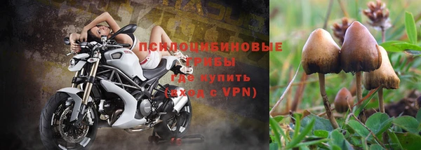 ПСИЛОЦИБИНОВЫЕ ГРИБЫ Покачи