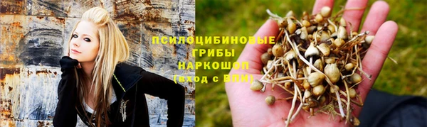 бутират Белокуриха