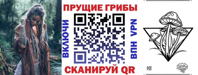 Псилоцибиновые грибы Cubensis  omg ссылка  мориарти Telegram  Севск 